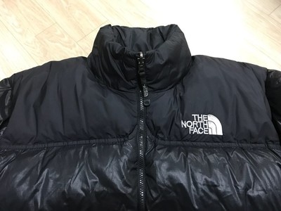 the north face 900 fill goose down